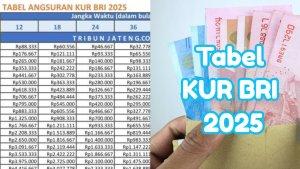 cicilan-KUR-BRI-2025-pinjaman-Rp-40-juta.jpg