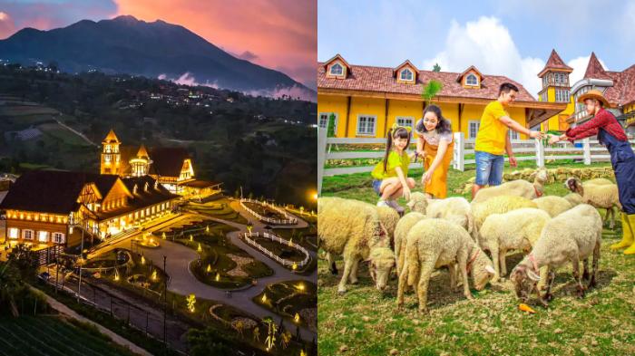 Cepogo-Cheese-Park-berjarak-182-kilometer-atau-sekira-35-menit-dari-Gerbang-Tol-Boyolali.jpg