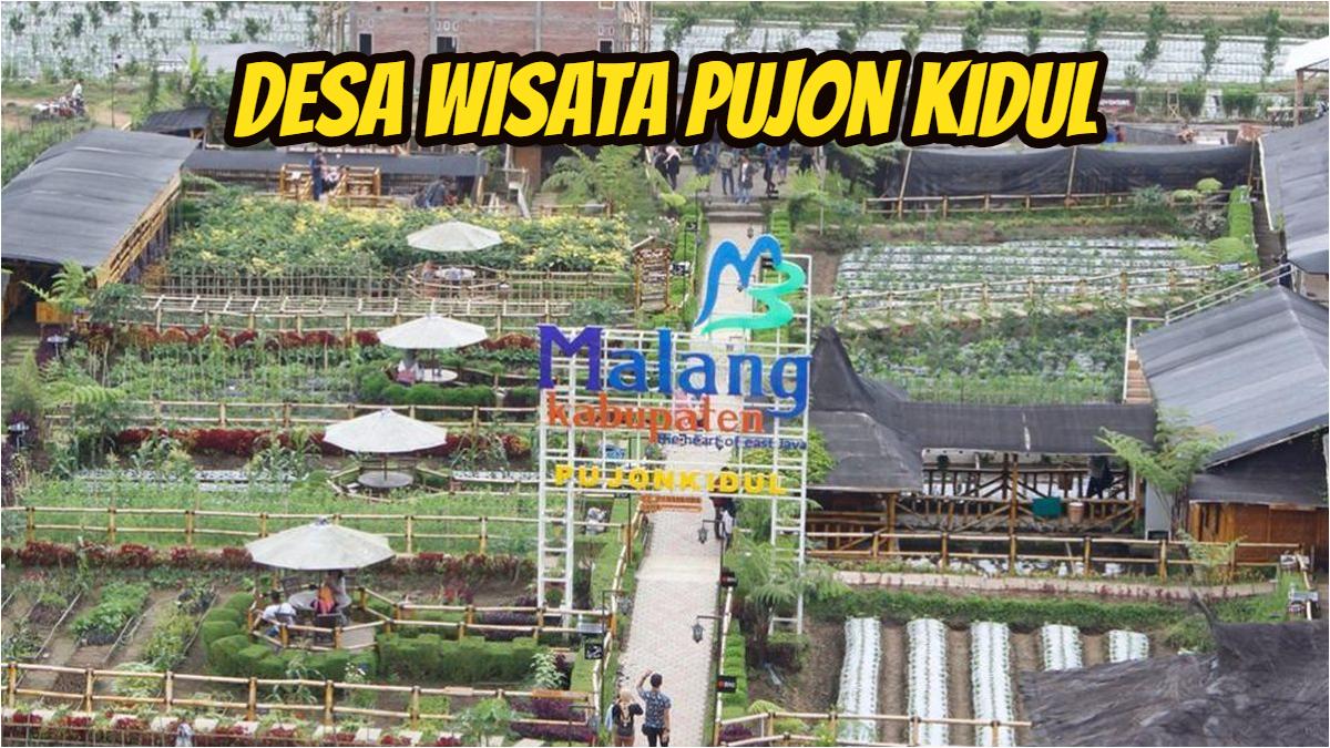 Desa-Wisata-Pujon-Kidul-1.jpg