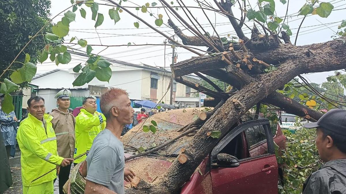 Ilustrasi-pohon-tumbang-menimpa-mobil-di-Kabupaten-Sukoharjo.jpg