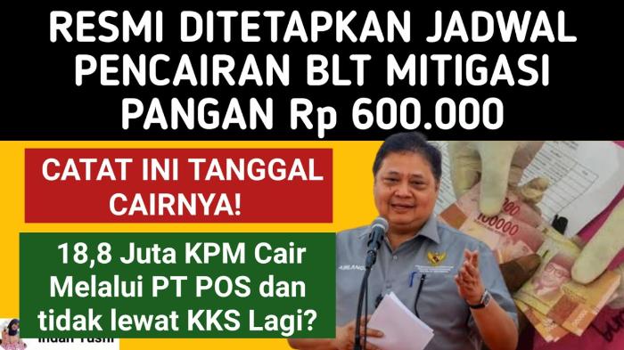 Inilah-jadwal-dan-cara-cek-pencairan-BLT-Mitigasi-Pangan-2024.jpg