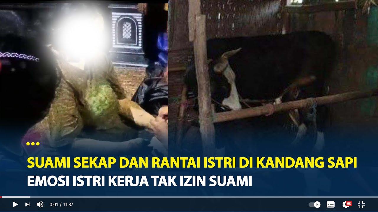 Istri-pulang-dari-merantau-malah-disekap-suami-di-kandang-sapi.jpg