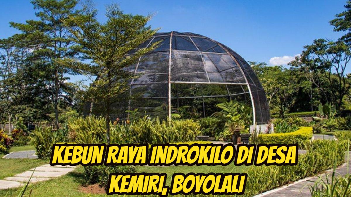 Kebun-Raya-Indrokilo-yang-terletak-di-Desa-Kemiri.jpg