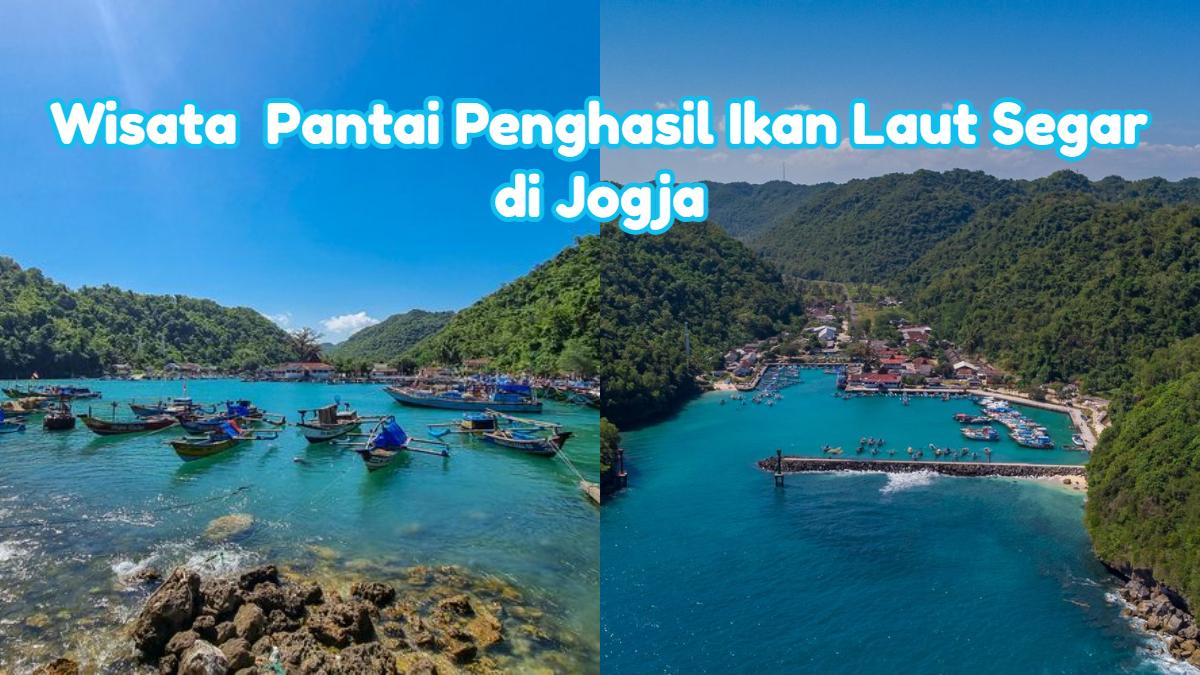Pantai-Sadeng-Pantai-penghasil-ikan-laut-segar-bisa-disantap-di-tempat.jpg