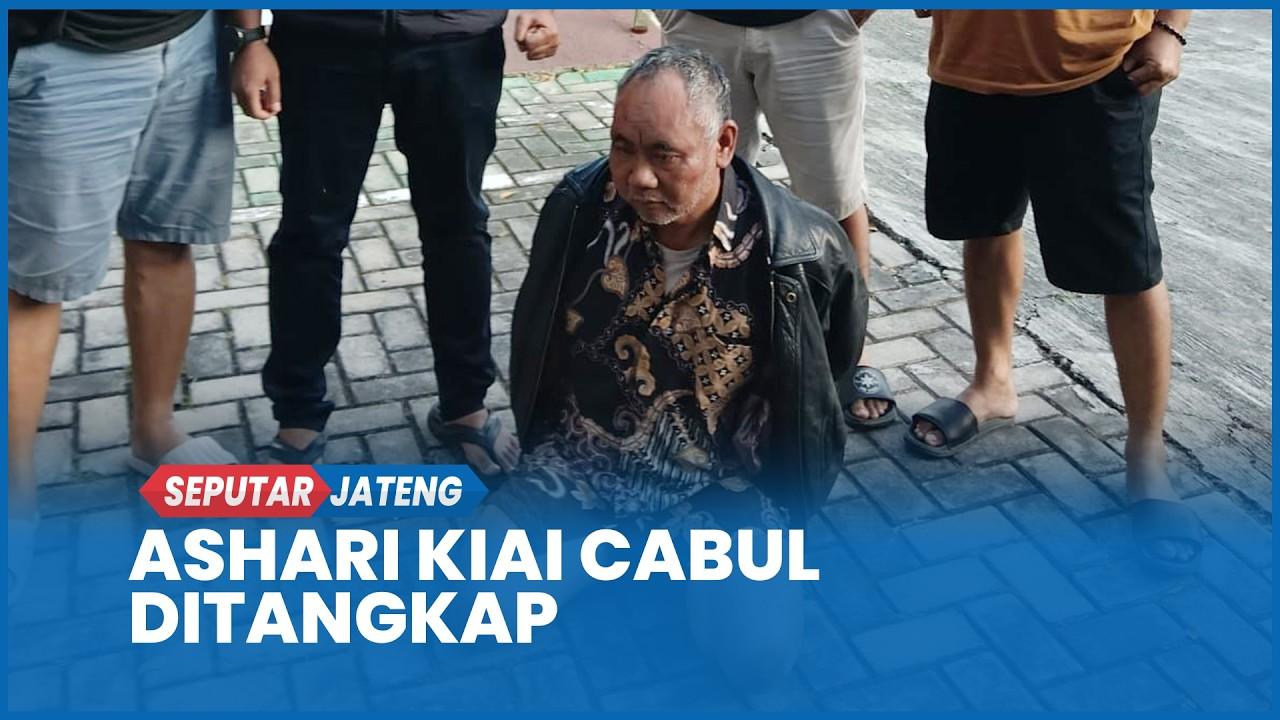 Tribun