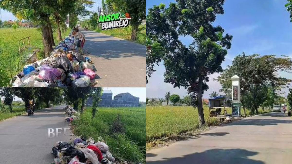 Sampah Pinggir Sawah di Bumirejo-Samborejo Pekalongan Menumpuk, Kini Kompak Dibersihkan Warga