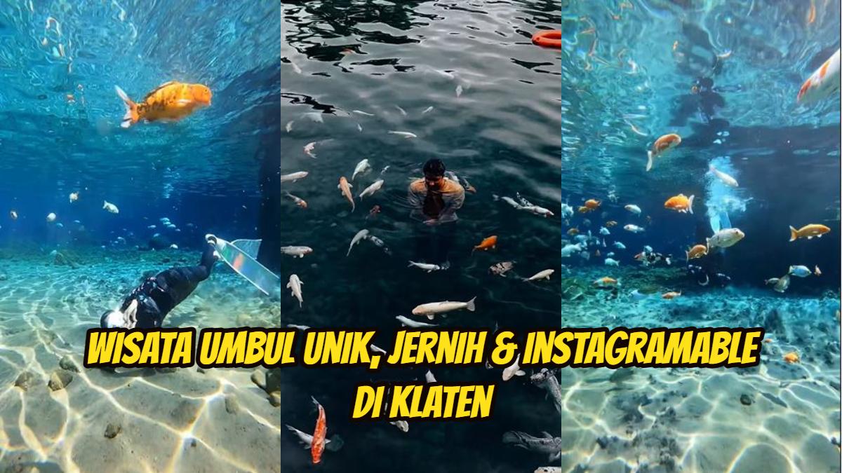 Umbul-Ponggok-Inilah-wisata-umbul-unik-di-Klaten.jpg