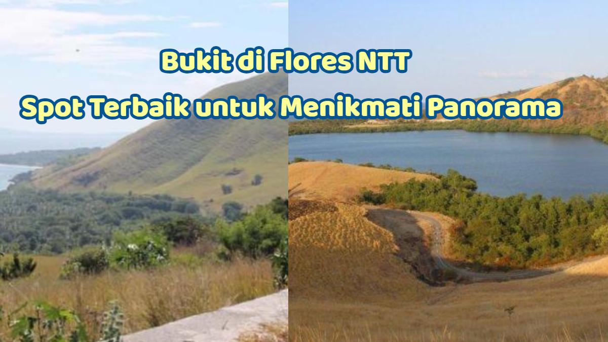 WISATA-DI-NTT-Bukit-di-Flores-NTT-jadi-spot-terbaik-untuk-menikmati-panorama.jpg