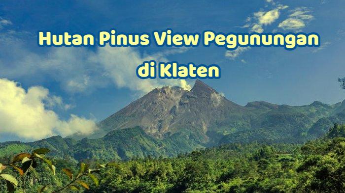 Wisata-alam-Deles-Indah-Libur-akhir-pekan-cocok-untuk-mengunjungi-hutan-pinus-klaten.jpg