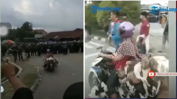 aksi-viral-emak-emak-bawa-puluhan-bebek-terobos-demo-uu-cipta-kerja.jpg
