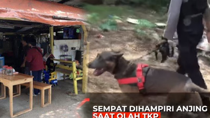 Anjing Pelacak Hampiri Warung Saat Usut Kematian Yodi Metro TV, Pemilik Akui Ada 2 Orang yang Mampir