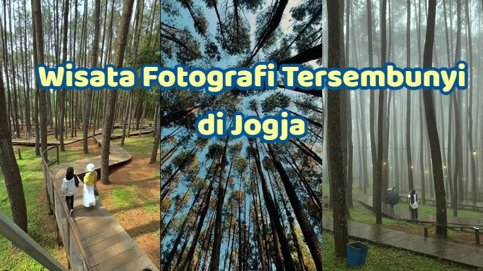 fotografi-tersembunyi-di-Jogja-sejuk-dan-rindang.jpg