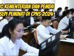 20-kementerian-dan-pemda-sepi-peminat-di-CPNS-2024.jpg