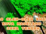 Berikut-ini-10-oleh-oleh-khas-Kota-Magelang-Jawa-Tengah.jpg