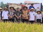 Bupati-Hamenang-serap-gabah-petani-di-Desa-Sumber.jpg