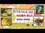 Dalam-kehidupan-sehari-hari-kita-banyak-menemukan-biji-tumbuhan-dalam-buah-buahan-yang-kita-makan.jpg