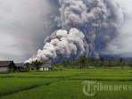 Erupsi-Gunung-Semeru-19-November-2025.jpg