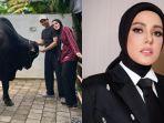 Fairuz-A-Rafiq-terinjak-sapi-kurban-seberat-12-ton.jpg
