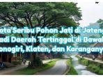 Foto-cover-headline-Kota-Seribu-Pohon-Jati-di-Jateng.jpg