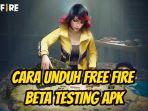 Ilustrasi-game-Free-Fire-Beta-Testing-APK-dokumen-Garenacom.jpg