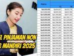 Ilustrasi-tabel-pinjaman-Non-KUR-Mandiri-2025-Februari.jpg