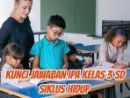 Kunci-Jawaban-IPA-Kelas-3-SD-materi-siklus-hidup-gajah.jpg