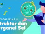 Kunci-jawaban-Biologi-kelas-11-halaman-124-125-Sel-Jaringan-dan-Pembuluh-Getah-Bening.jpg