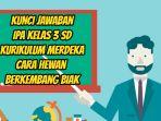 Kunci-jawaban-IPA-kelas-3-SD-Kurikulum-Merdeka-berkembang-biak.jpg