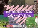 Kunci-jawaban-kelas-6-SD-ciri-khusus-hewan-dan-habitatnya.jpg