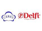 Lowongan-Kerja-Delfi-Group-202443.jpg