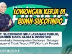 Lowongan-kerja-BUMN-di-Sucofindo.jpg