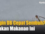Makanan-dan-Minuman-yang-Bikin-Demam-Berdarah-Cepat-Sembuh.jpg