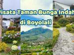 Merapi-Garden-di-Boyolali-Inilah-wisata-Taman-Bunga-Indah-di-Boyolal.jpg