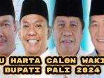 Perbandingan-kekayaan-calon-Wakil-Bupati-Penukal-Abab-Lematang-Ilir-PALI-2024.jpg