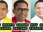 Perbandingan-kekayaan-calon-gubernur-NTT-2024.jpg