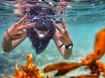 Snorkling-di-Pantai-Nglambor-Desa-Purwodadi.jpg