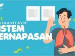 Soal-Kunci-Jawaban-Biologi-Kelas-11-SMA-Halaman-107-Aktivitas-48.jpg