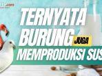 Ternyata-selain-mamalia-terdapat-jenis-burung-yang-dapat-memproduksi-susu.jpg