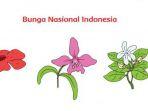 bunga-nasional-indonesia.jpg