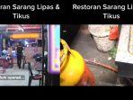 dapur-restoran-banyak-tikus-dan-kecoa.jpg