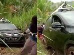 diduga-mobil-google-maps-terperosok-di-kebun-tebu-malang.jpg