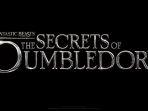 fantastic-beasts-the-secrets-of-dumbledore-poster.jpg