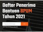 halaman-website-banpresbpumid-blt-umkm-bni.jpg