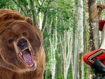ilustrasi-pria-lagi-berkebun-tiba-tiba-diserang-oleh-beruang.jpg
