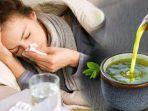 ilustrasi-teh-herbal-minuman-yang-ampuh-mencegah-flu.jpg