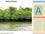 ilustrasi-teks-observasi-hutan-bakau.jpg