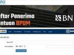 laman-utama-bni-dan-bri-untuk-cek-penerima-blt-umkm.jpg