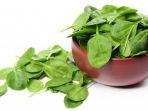 makanan-untuk-memperkuat-daya-tahan-tubuh-di-tengah-pandemi-corona-salah-satunya-bayam.jpg