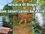 tempat-wisata-di-Bogor-bak-jalan-jalan-ke-Afrika-ada-hewan-langka.jpg