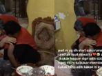 viral-ibu-angkat-lepas-kepergian-anak-ke-ibu-kandungnya.jpg